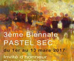 photo Association pastel en dauphin Eybens 13580