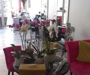 photo L'atelier coiffure, l'atelier 