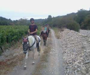 photo Ferme questre le relais de vazeille St Maurice D Ibie 14140