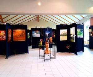 Les Amis Des Arts De Cours La Ville