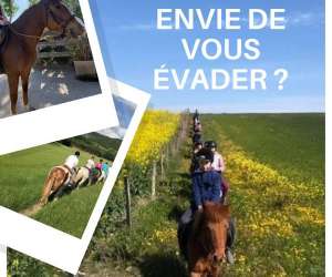 Domaine Equestre Des Pialoux