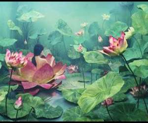 photo Youg yoga Die 15890