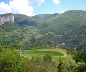 Gites Du Frachet D'ansage Gites Du Frachet D'ansage