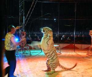 photo Le cirque stephane zavatta Chambery 2390