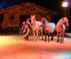 photo Le cirque stephane zavatta Chambery 2393