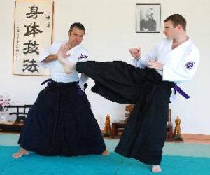 Cercle Academique Du Budo