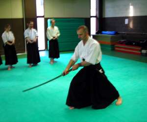 Seigyo Iaido Loire