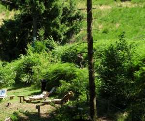 photo Parcours d'aventures du haut beaujolais Avenas 2714