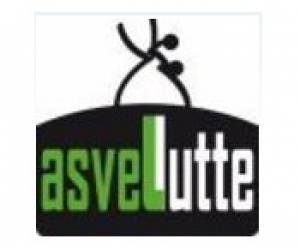 Asvel Lutte