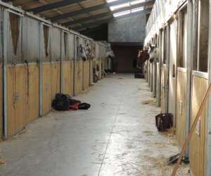 photo Centre equestre du vieux moulin Loire Sur Rhone 9756
