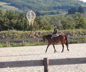 photo Centre equestre du vieux moulin Loire Sur Rhone 9757
