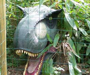 photo Tropicaland Viry 9934