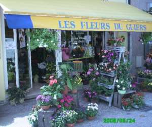 Fleurs Du Guiers