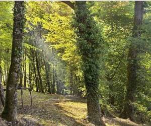 La Fort Des Bois De Ville