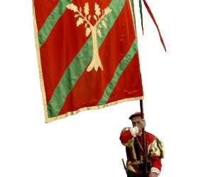 photo Escrime de spectacle - maisnie de la chesnaie Lyon 2886