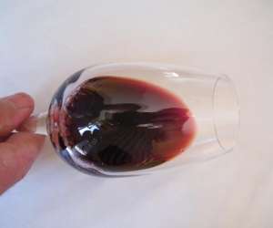photo Cours d' oenologie vino passion Moidieu Detourbe 3026