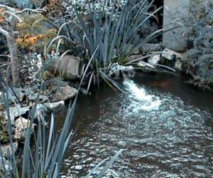 photo Eden parc, le jardin d'eden Tournon Sur Rhone 8019
