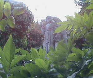 photo Eden parc, le jardin d'eden Tournon Sur Rhone 8021