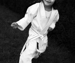 photo Karate Annecy Le Vieux 3154