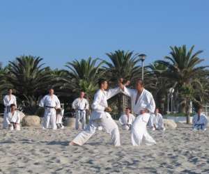 Karate Do Aiki Kan - Karate Do Shotokai Valence