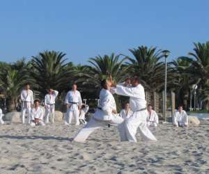 photo Karate do aiki kan - karate do shotokai valence Valence 3165