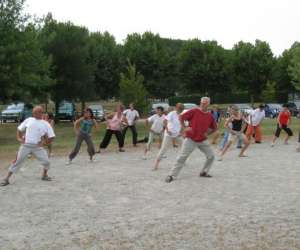 photo Amitc taichichuan qigong Romans Sur Isere 7690