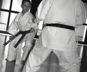 Ecole De Karate Traditionnel Annecienne