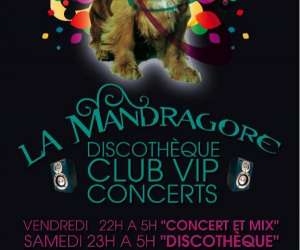 La Mandragore (club ,concert,vip)