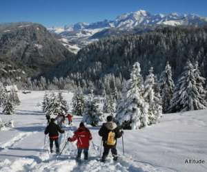 photo Altitude nature - pays du mont blanc raquette et randonnnee Praz Sur Arly 7799