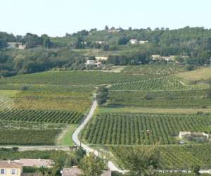 photo Mas des santolines Tulette 3433