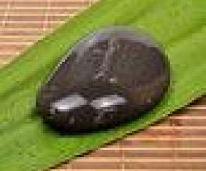 photo Conseiller de sante naturopathe globaliste Montelimar 3605