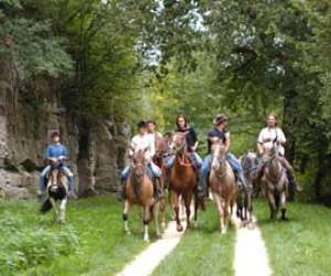 Missandre Centre De Tourisme Equestre