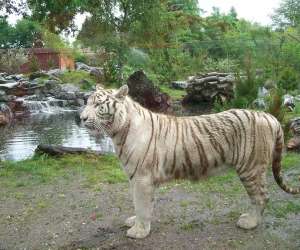 photo Zoo de bordeaux-pessac Pessac 2363