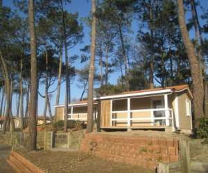 photo Camping municipal les sableres Vieux Boucau Les Bains 5544