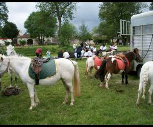 Ferme Equestre Gueyte