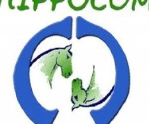 Hippocom 137