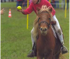 photo Poney-club du grand lio St Julien En Born 4031
