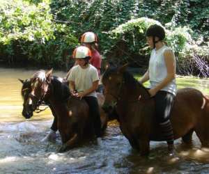 photo Poney-club du grand lio St Julien En Born 4033