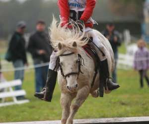 photo Poney-club du grand lio St Julien En Born 4034