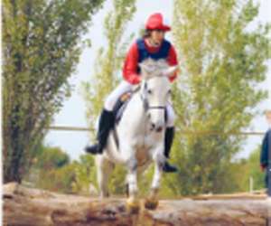 photo Poney-club du grand lio St Julien En Born 4035