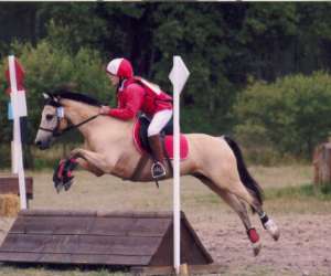 photo Poney-club du grand lio St Julien En Born 4036