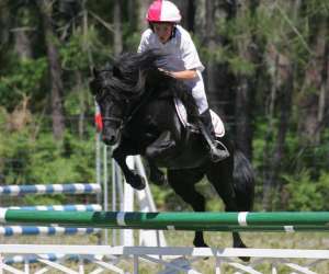 photo Poney-club du grand lio St Julien En Born 4037