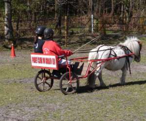 photo Poney-club du grand lio St Julien En Born 4038