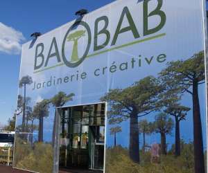 Baobab Saint Pierre Du Mont