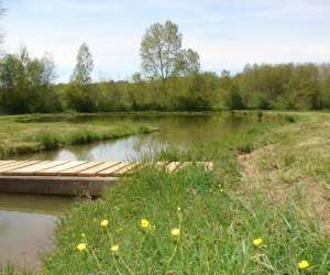 Pisciculture Du Moulin De La Grande Veyssiere