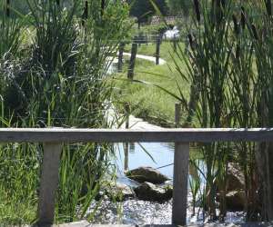 photo Pisciculture du moulin de la grande veyssiere Neuvic 2510