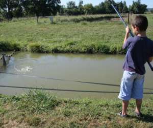 photo Pisciculture du moulin de la grande veyssiere Neuvic 2511