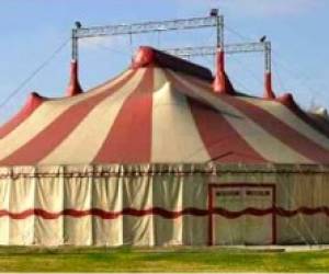 Ecole de cirque