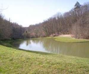 photo Perigourdine avec un etang prive pour la peche Maurens 5130