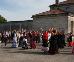 Flamenco 